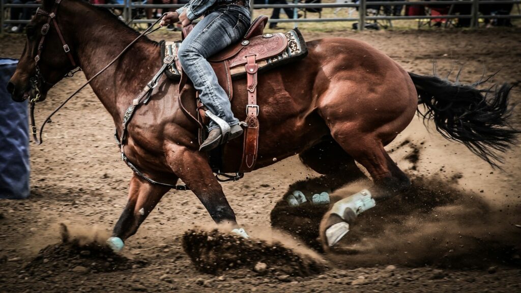 Cowboy horse