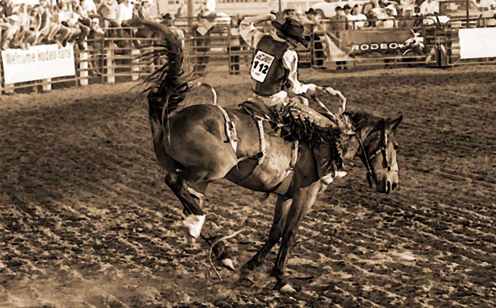 saddle bronc